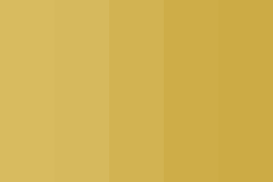Muted Mustard Colour Palette